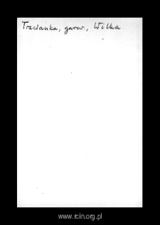 Trzcianka. Files of Czersk district in the Middle Ages. Files of Historico-Geographical Dictionary of Masovia in the Middle Ages