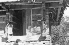 Log structure