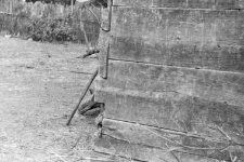 Log structure
