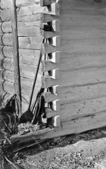 Log cottage