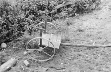 Cart
