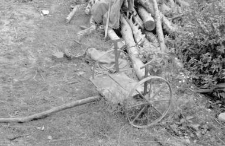 Cart