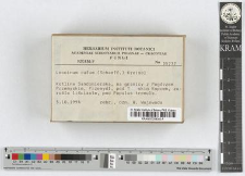 Leccinum rufum (Schaeff.) Kreisel