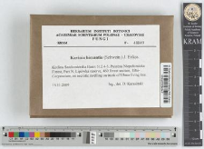 Kavinia himantia (Schwein.) J. Erikss.