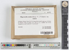 Hygrocybe conica (Scop.:Fr.) P. Kumm var. var. conica