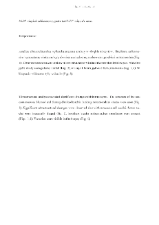 Files for neuromuscular diseases (2007) - nr 56/07