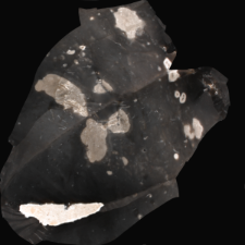 Scandynavian Senonian Flint : 3D documentation