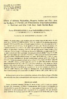 Effects of Adenine Nucleotides, Biogenic Amines and Oleic Acidon Synthesis of Choline and Ethanolamine Glycerophospholipidsin Neuronal and Glial Cells from Adult Rabbit Brain