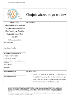 Chojniewicze (Vyalikiya Khal′nyavichy, Вялікія Хальнявічы), młyn wodny