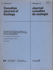 Description of Helicotylenchus amplius n. sp. and a key to the Canadian species of the genus (Nematoda: Hoplolaimidae)