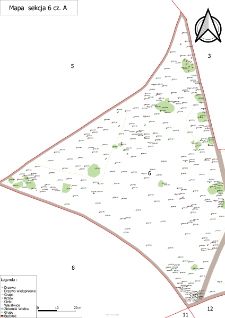 Map of the Kórnik Arboretum - section