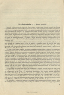 146. Hedera helix L. - Bluszcz pospolity