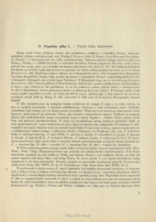 30. Populus alba L. - Topola biała, białodrzew