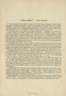 6. Pinus cembra L. - Limba europejska