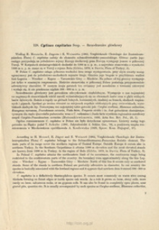 128. Cytisus capitatus Scop. - Szczodrzeniec gł&oacute;wkowy