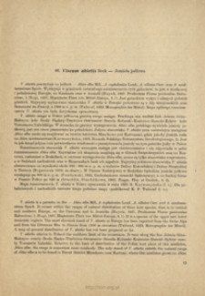 66. Viscum abietis Beck - Jemioła jodłowa