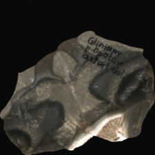 Banded flint : 3D documentation