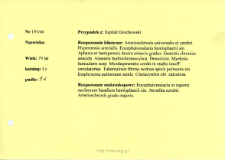 File of histopathological evaluation of nervous system diseases (1966) - nr 193/66