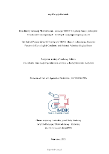 The Role of Protein Kinase G Type I&alpha; and TRPC6 Channel in Regulating Podocyte Function in Physiological Conditions and Selected Pathophysiological States