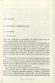 Anatomy and embryology