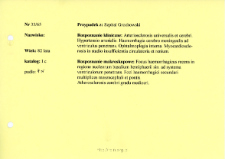 File of histopathological evaluation of nervous system diseases (1965) - nr 33/65