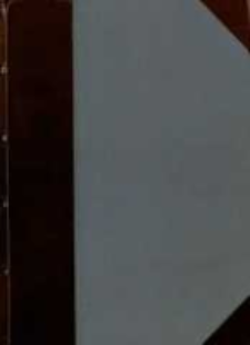 Słownik staropolskich nazw osobowych. T. 4, (N-R)