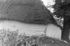 Cottage fragment