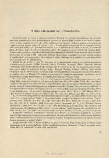 74. Ribes schlechtendalii Lge. - Porzeczka dzika