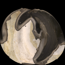 Banded flint : 3D documentation