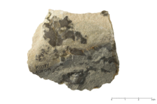 Cretaceous flint : 2D documentation