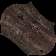 Spindle whorl [3D]