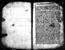 Quaestiones super IV libros Sententiarum Petri Lombardi, disputatae in Universitate Cracoviensi