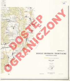 Powiat Piotrk&oacute;w Trybunalski : wojew&oacute;dztwo ł&oacute;dzkie : skala 1:25 000