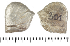 Silver clump