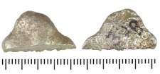 Silver clump