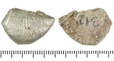 Silver clump