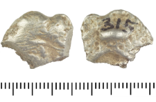 Silver clump