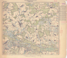 LXXIII-7 (Ivʹe) : mas&scaron;tab I versta v d&ucirc;ime. : 1908 g. Polʹ&scaron;a