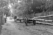 Timber haulage