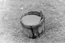 Wooden stave bucket
