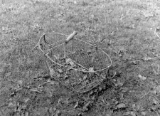 Potato basket