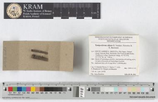 Lamproderma album H. Neubert, Nowotny & K. Baumann