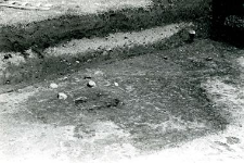 Trench west of the collegiate church, view on the burrow 7/58 nad building 2/58