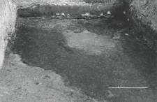Trench west of the collegiate church, burrow 7/58 and building 2/58