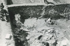 Discovering of the stone structures in the trench in the collegiate church