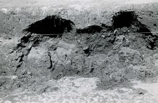 Wykop na zachód od kolegiaty, fragment północnego profilu podmytego wodą
