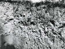 Fragment of the trench profile inside the collegiate church