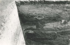 Corner of the deep trench outside the collegiate church (from the south), fragments of archaeological profiles