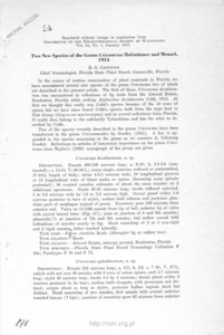 Two new species of the genus Criconema Hofm&auml;nner and Menzel, 1914