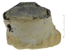 Cretaceous flint from Rijckholt-St.Geertruid mine : 2D documentation